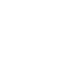 BSTRD LOGO WHITE